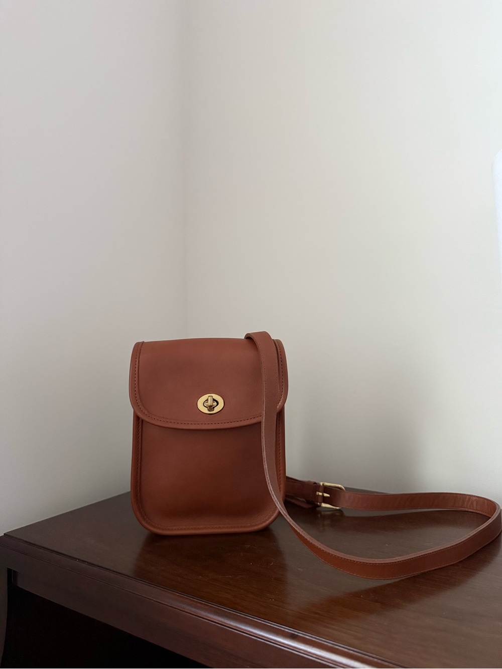 Vintage Coach Sidepack